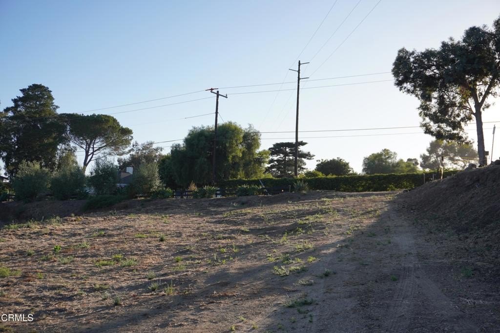Picture 36