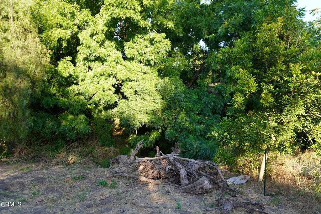 Picture 23