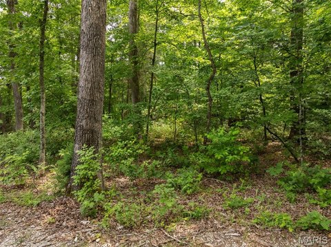 Residential Homesite in Resort Community