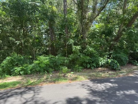 Land, GAINESVILLE, FL