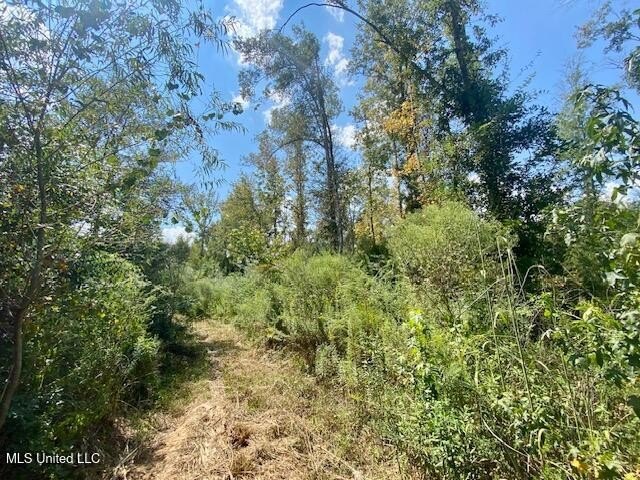 64 Wooded Acres Near I-55
