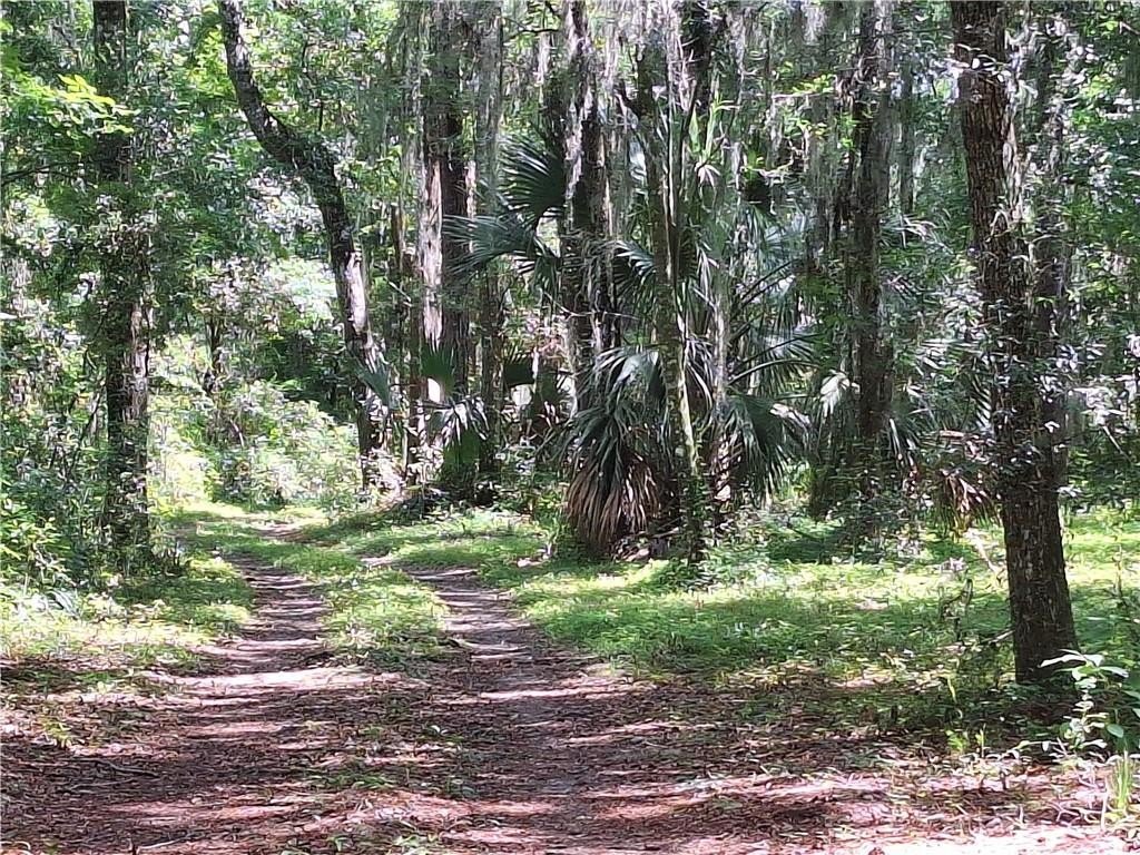 Picture 8