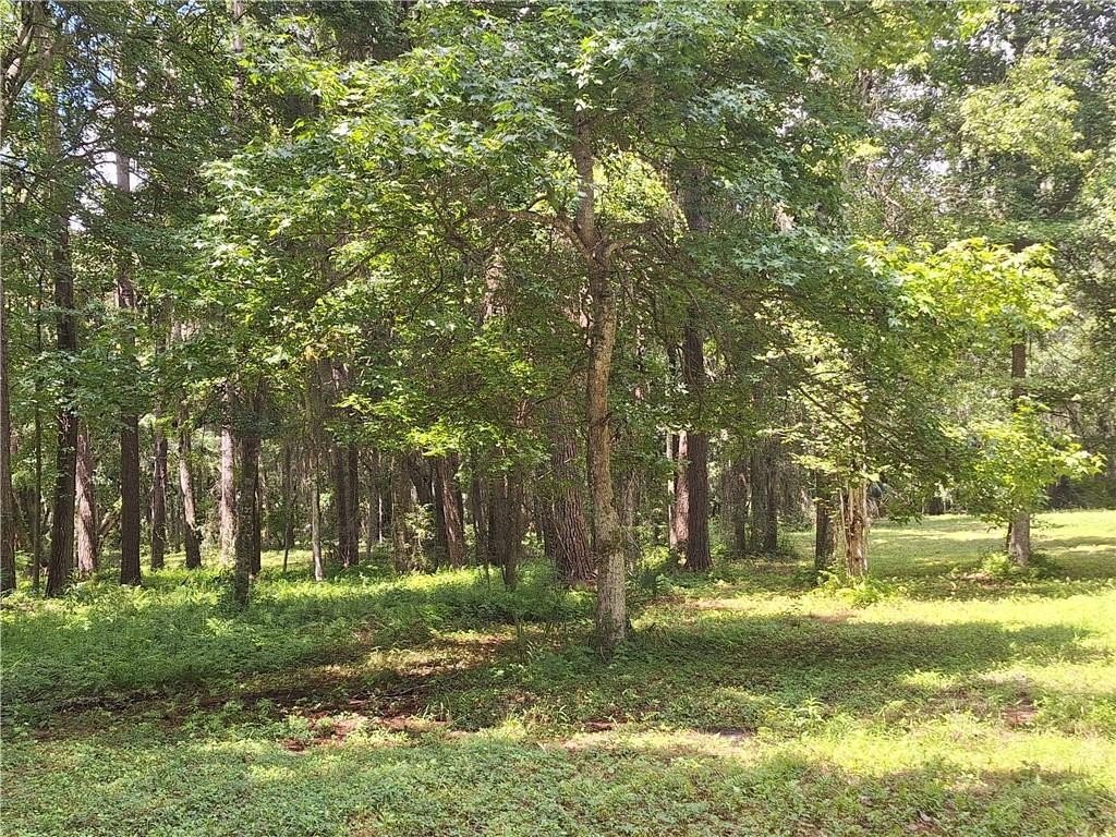 Picture 3