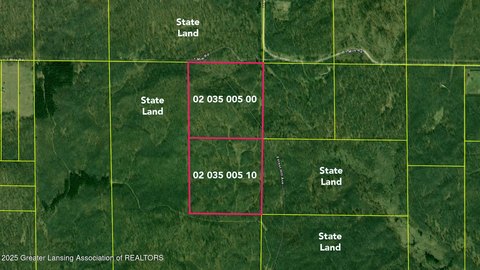 Evart Land with Cabin