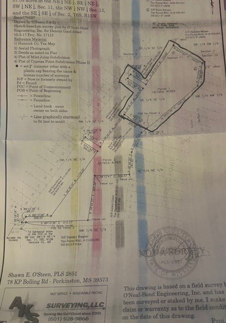 Picture 7