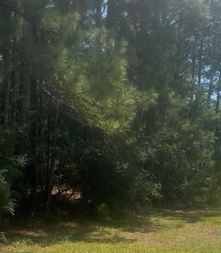Land in Mint Julep Airpark