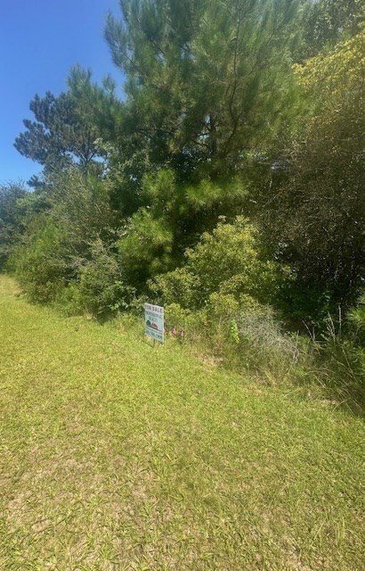 Picture 6