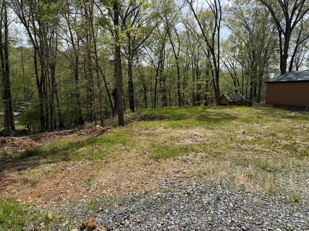 Picture 4