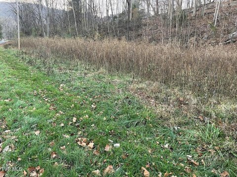 Unicoi, TN 1.45-Acre Lot