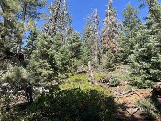 Picture 24