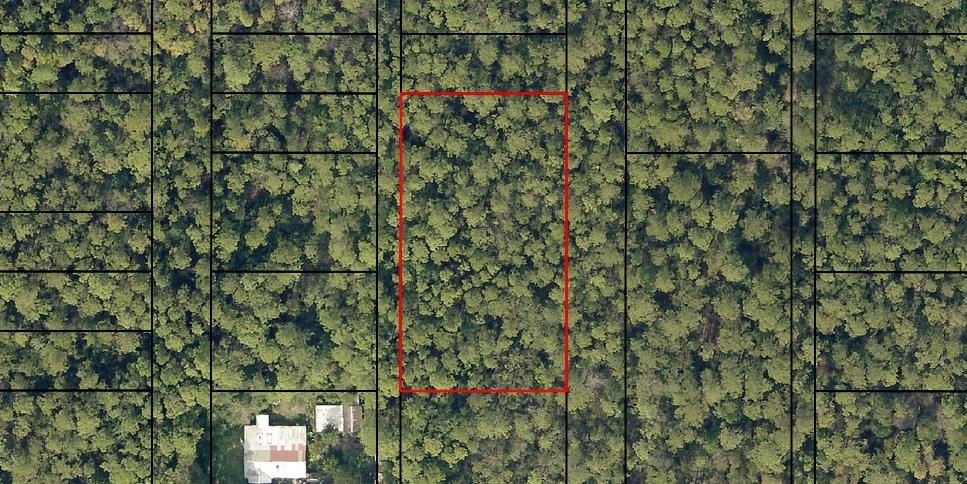 Five Lots in Avalon Beach