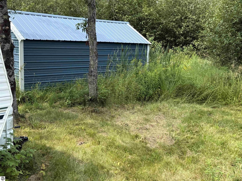 Picture 29
