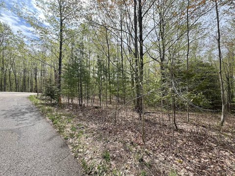 Vacant Lot in Traverse Heights