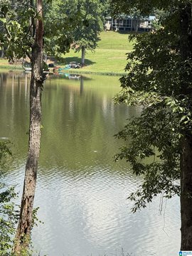 LAND/LOTS, WEDOWEE, AL