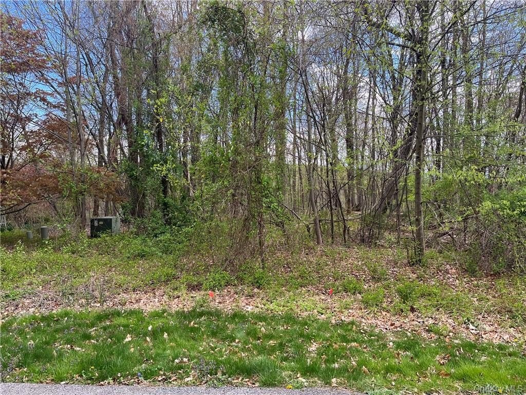 Undeveloped Lot in Cortlandt Manor