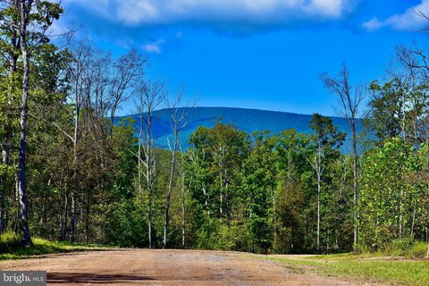 158+ Acre Winchester Land Parcel