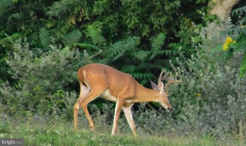 Secluded Land with Panoramic Views