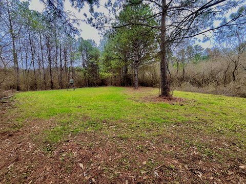 Recreational Homesite Land Tract
