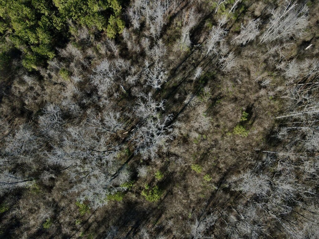 Picture 18