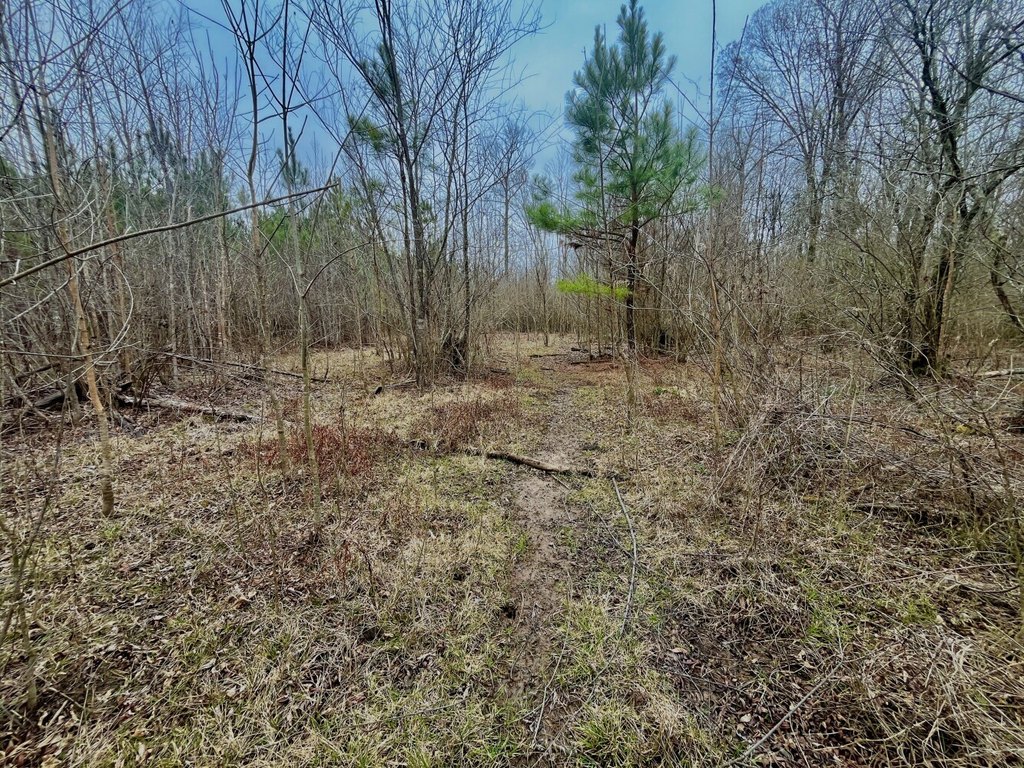 Picture 14