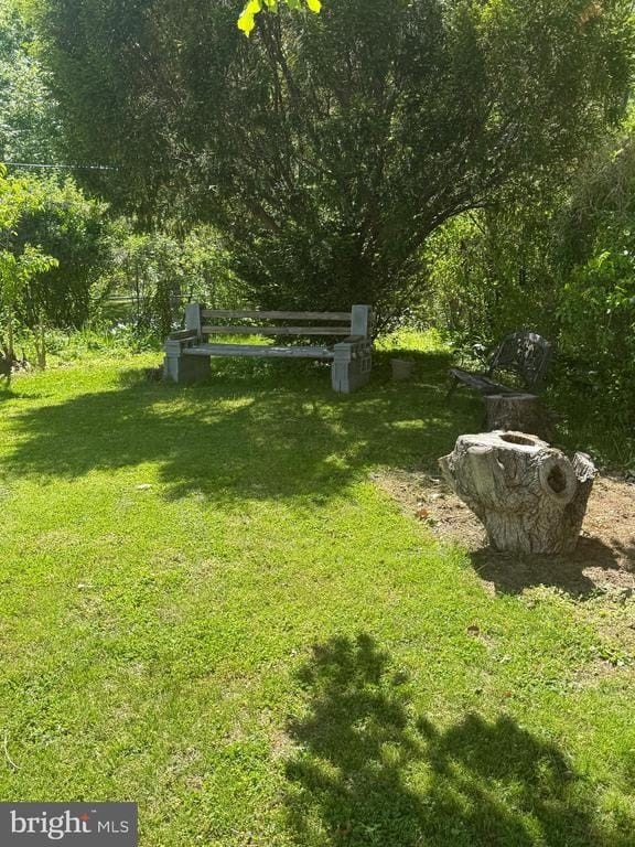 Picture 24