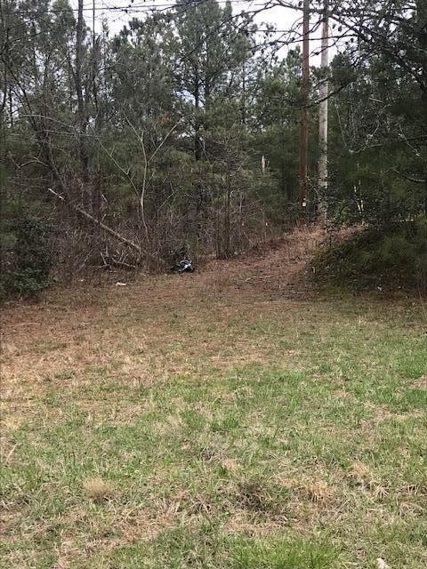 Ducktown Land Near Ocoee River