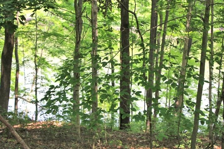 Picture 7