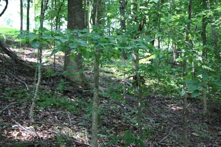 Picture 3