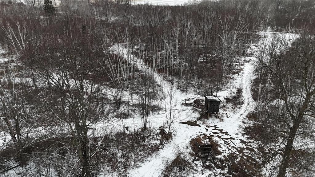 Picture 19