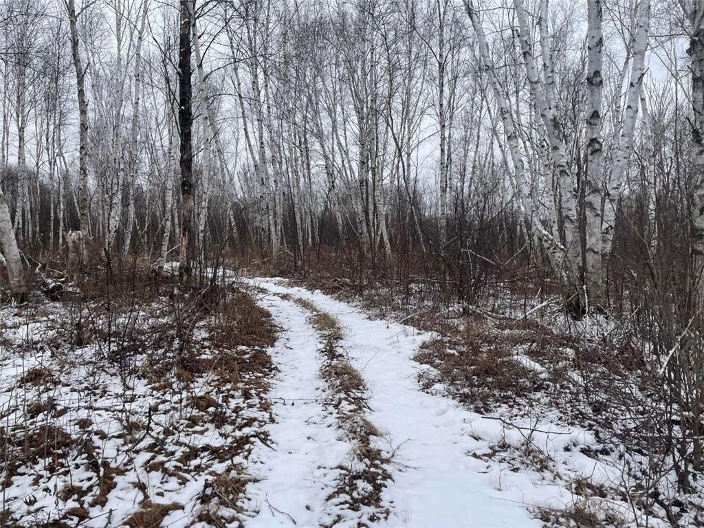 Picture 24