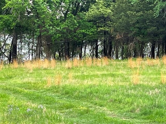 Lake Texoma Waterfront Land