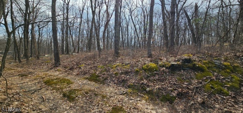 Land Adjacent to State Land