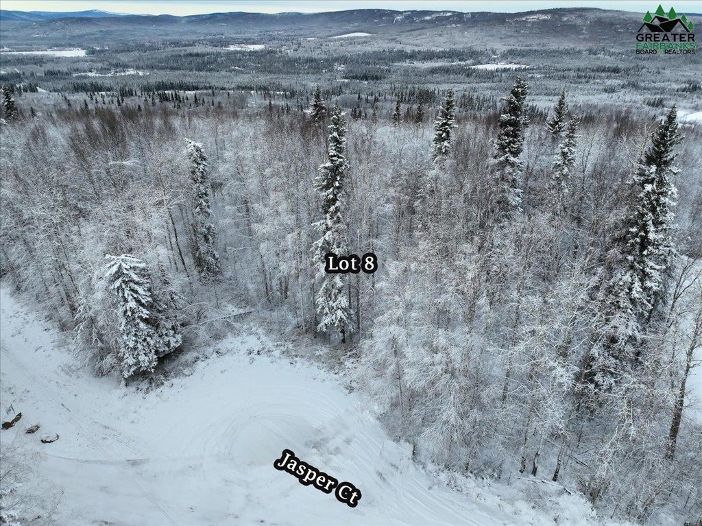 Picture 20