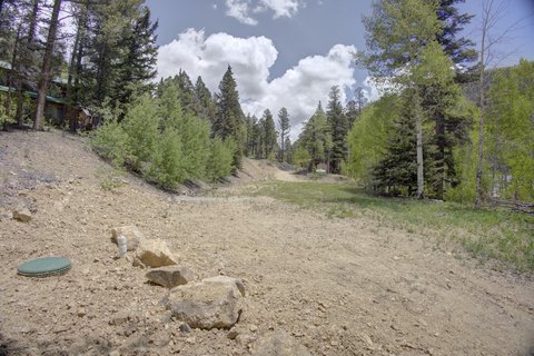 Red River Homesite in Carson Forest