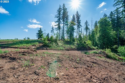 Land in Delta Vista Community