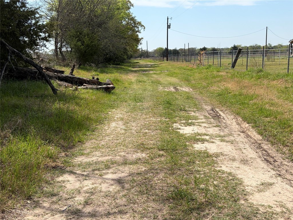 Picture 8