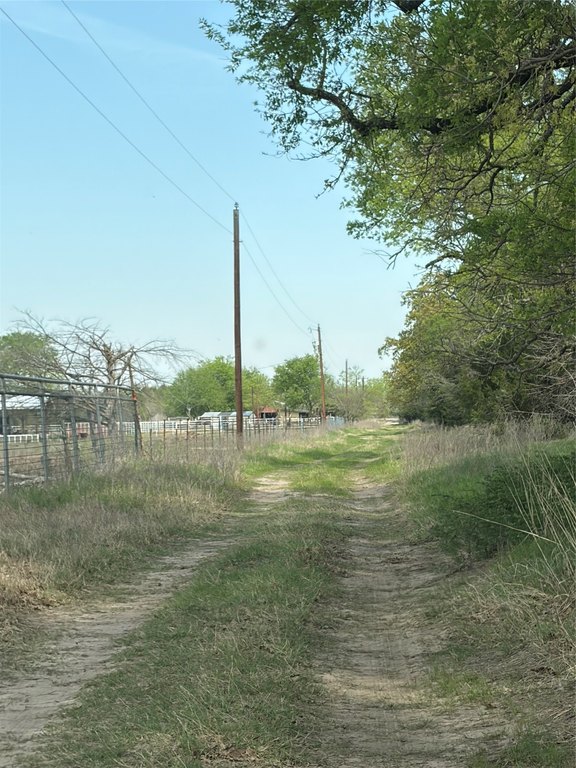 Picture 9