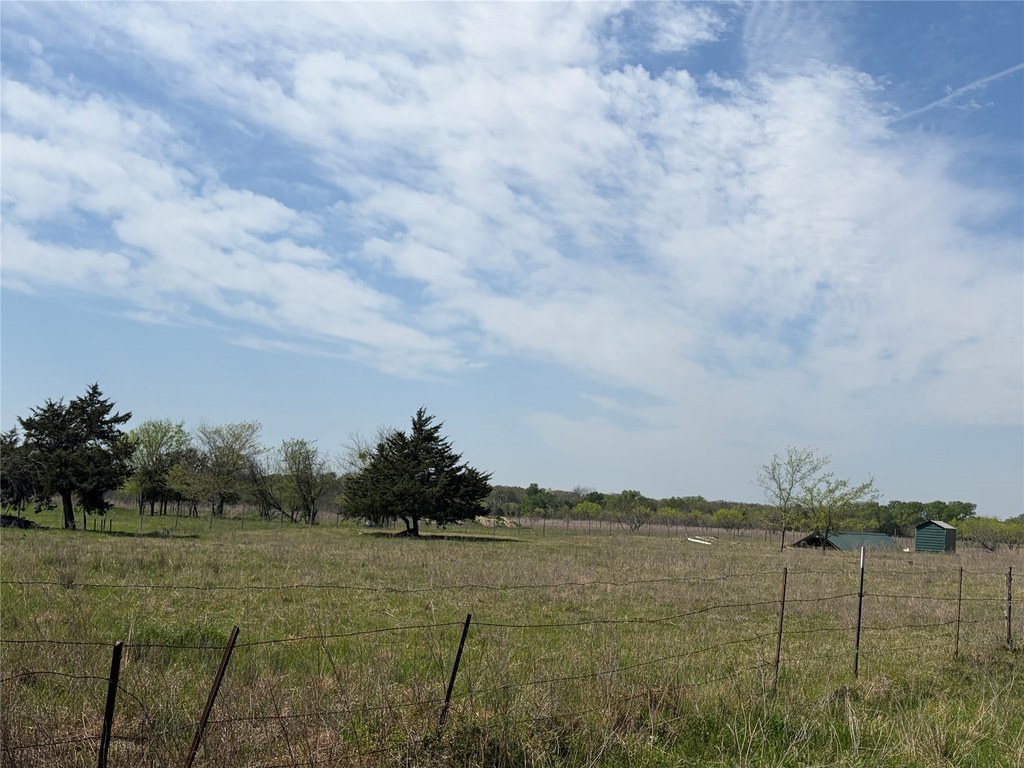 Picture 12