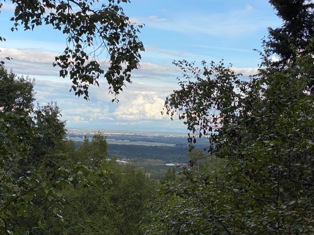 Picture 9