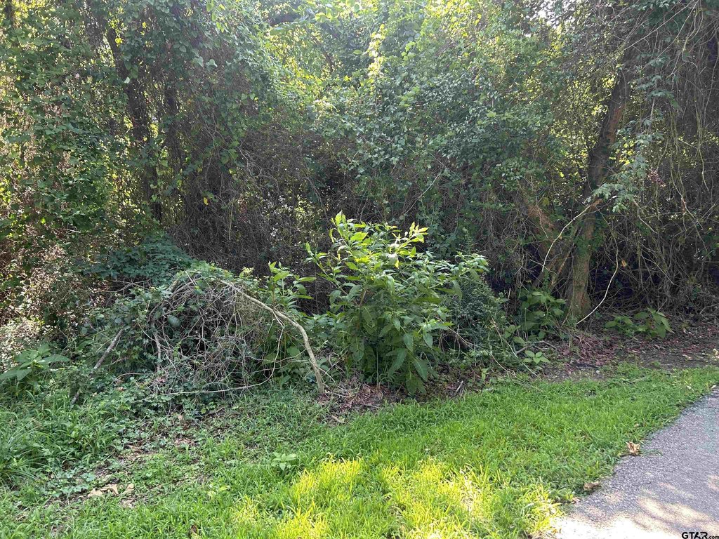 Picture 2