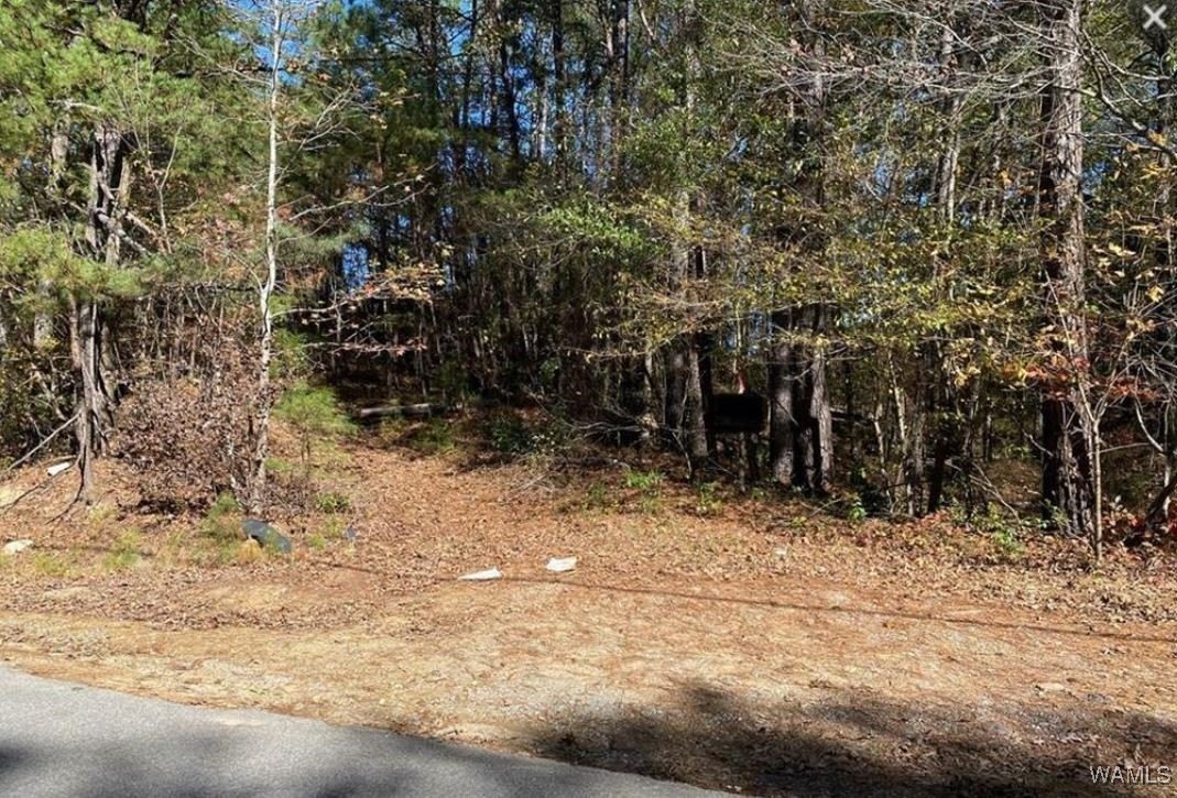 Land Package in Vance, AL