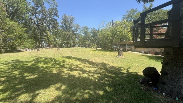 Picture 6
