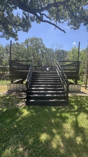 Picture 5