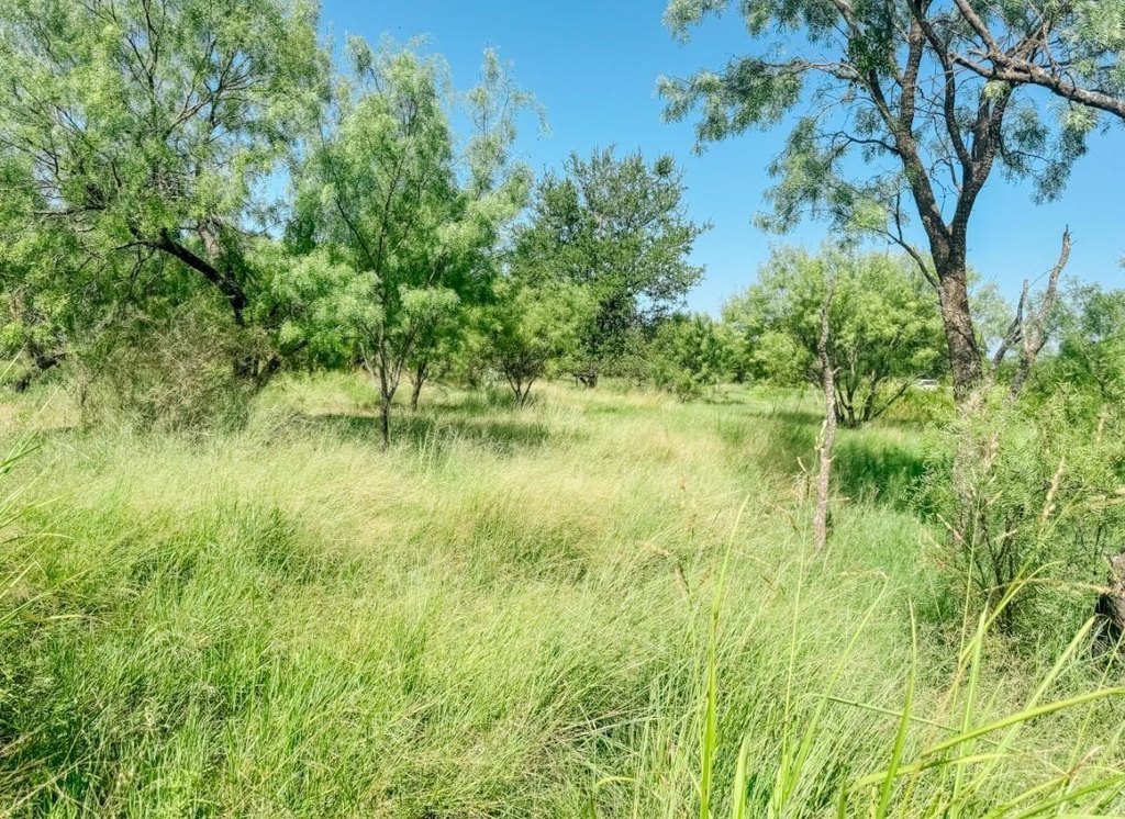 Picture 8