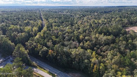 62 Acres of Forrest County Land