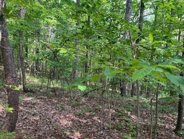 Quinton, AL Vacant Land