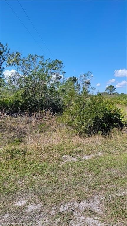 Picture 5