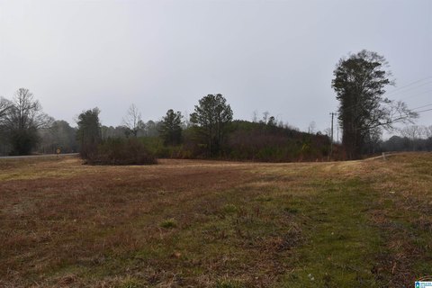 LAND - TALLADEGA, AL