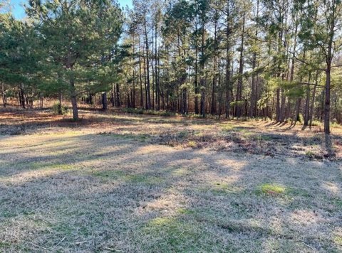 Homesite in Golf/Equestrian Community