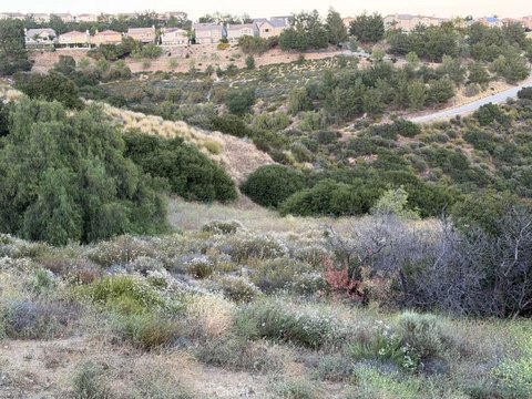 Chatsworth Vacant Land Parcel